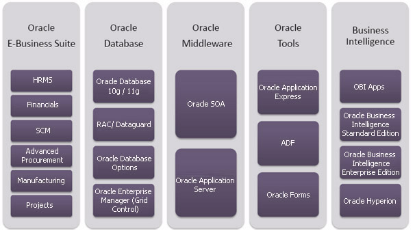 btl-oracleservices2